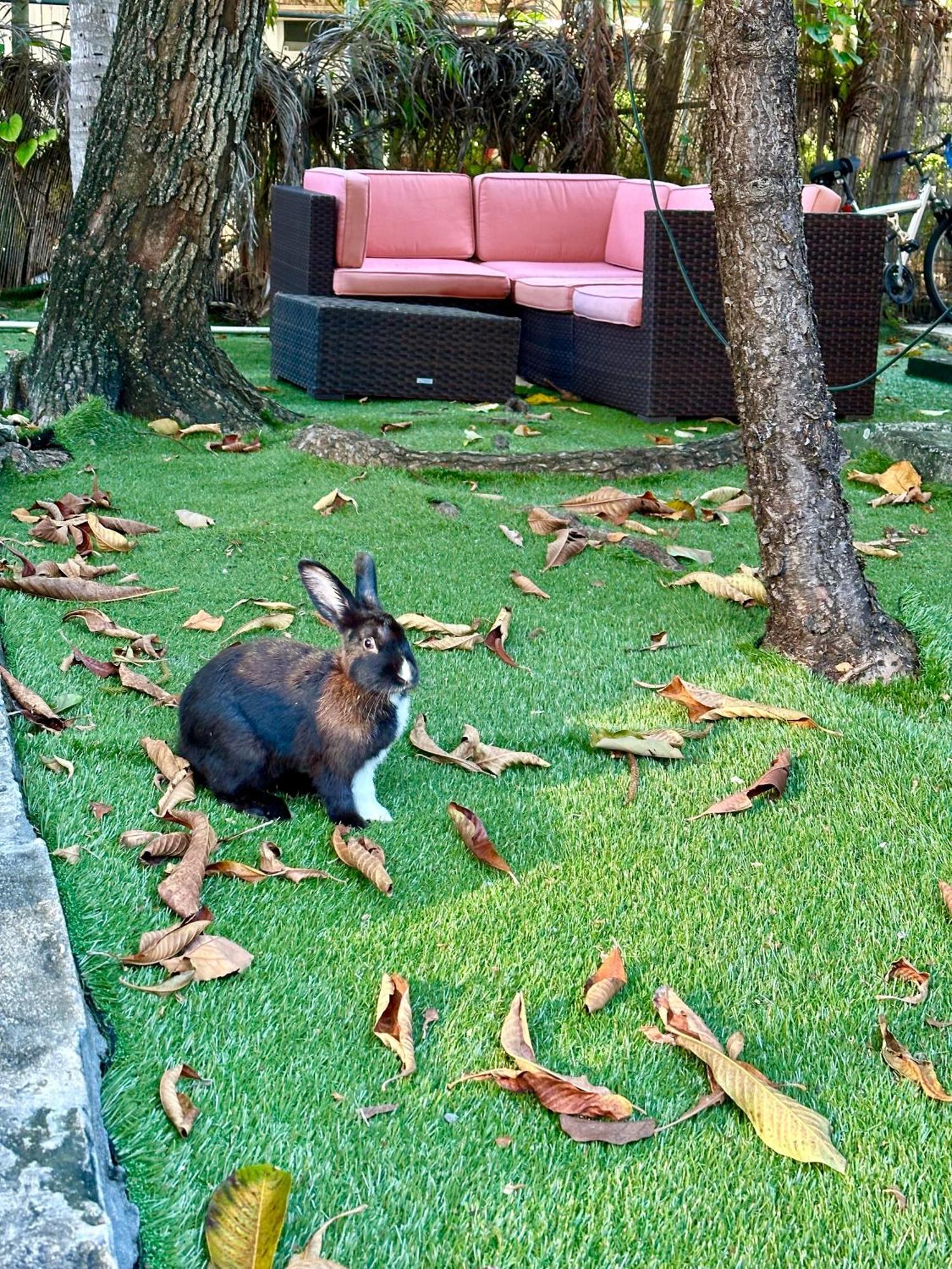 Miami House Hotel Bagian luar foto